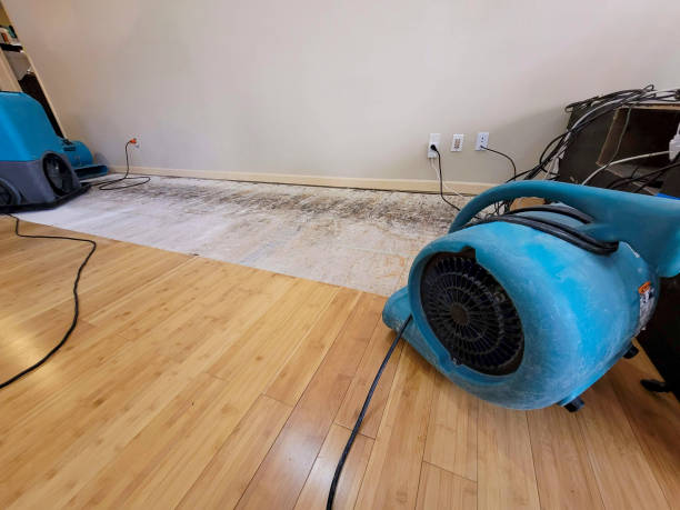 Professional Burst Pipe Water Damage technician working in Jackson, LA